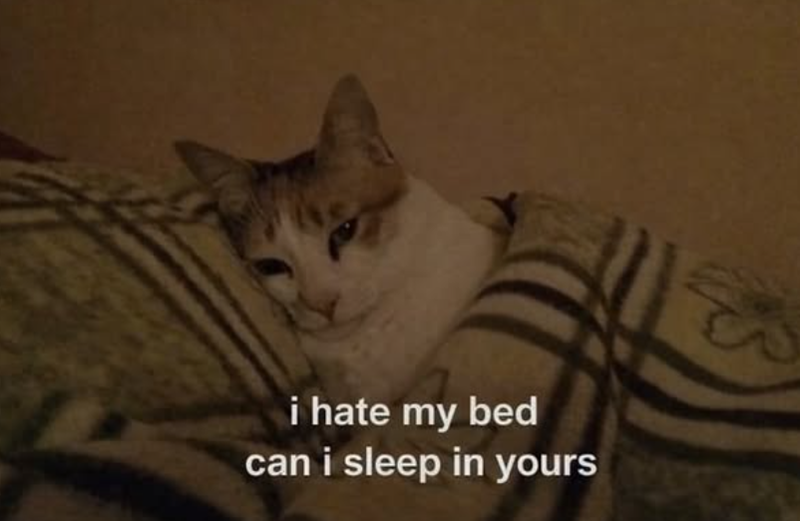 i hate my bed can i sleep in yours