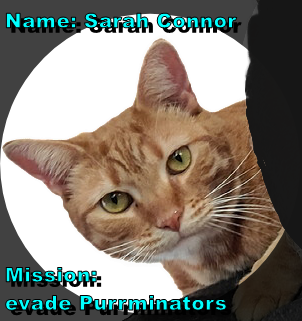 Cheezburger Image 10623744256