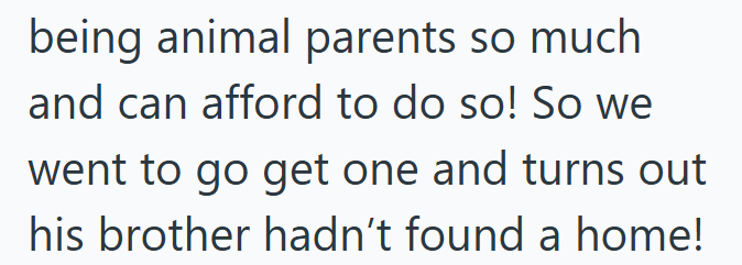 being animal parents so much and can afford to do so! So we went to go get one and turns out his brother hadn't found a home!