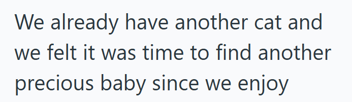 We already have another cat and we felt it was time to find another precious baby since we enjoy