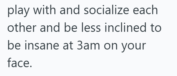 play with and socialize each other and be less inclined to be insane at 3am on your face.
