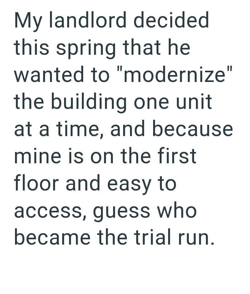 My landlord decided this spring that he wanted to "modernize" the building one unit at a time, and because mine is on the first floor and easy to access, guess who became the trial run.