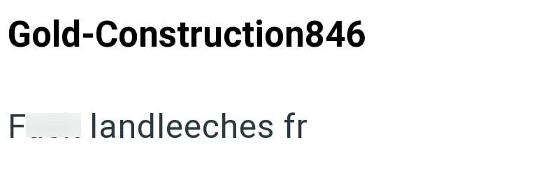 Gold-Construction846 Flandleeches fr