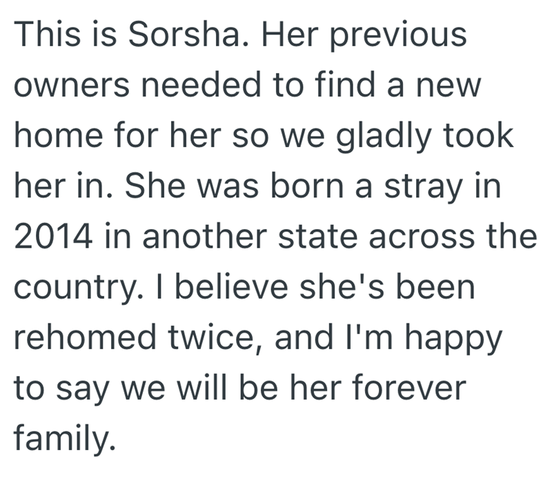 This is Sorsha. Her previous owners needed to find a new home for her so we gladly took her in. She was born a stray in 2014 in another state across the country. I believe she's been rehomed twice, and I'm happy to say we will be her forever family.