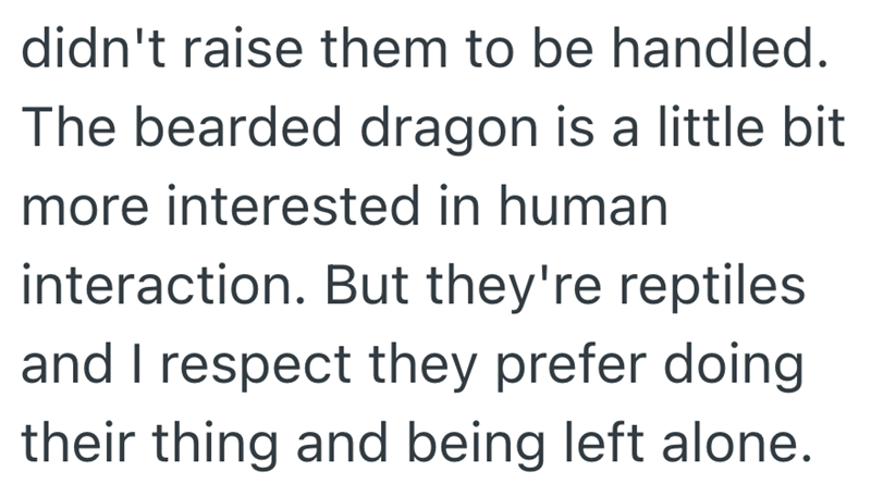 didn't raise them to be handled. The bearded dragon is a little bit more interested in human interaction. But they're reptiles and I respect they prefer doing their thing and being left alone.