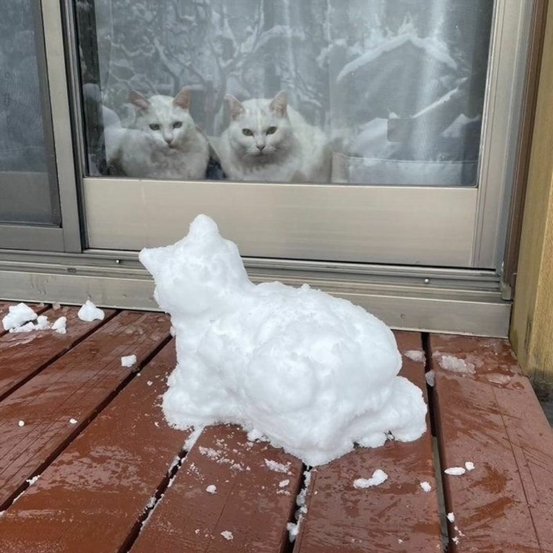 Cheezburger Image 10623777536