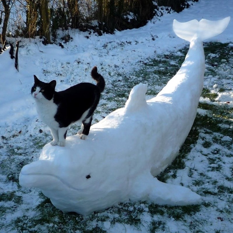 Cheezburger Image 10623777792