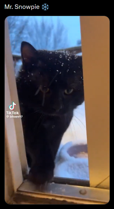 Mr. Snowpie مل Tik Tok @bllowe97