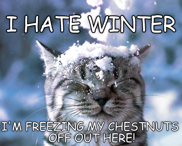 I HATE WINTER I'M FREEZING MY CHESTNUTS OFF OUT HERE!