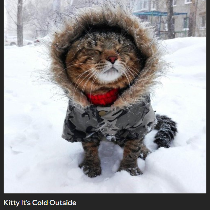 Kitty It's Cold Outside