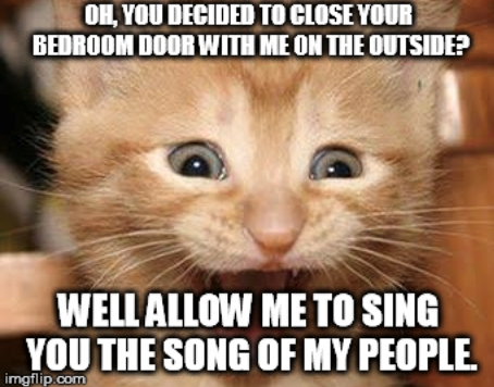 OH, YOU DECIDED TO CLOSE YOUR BEDROOM DOOR WITH ME ON THE OUTSIDE? WELL ALLOW ME TO SING YOU THE SONG OF MY PEOPLE. imgflip.com
