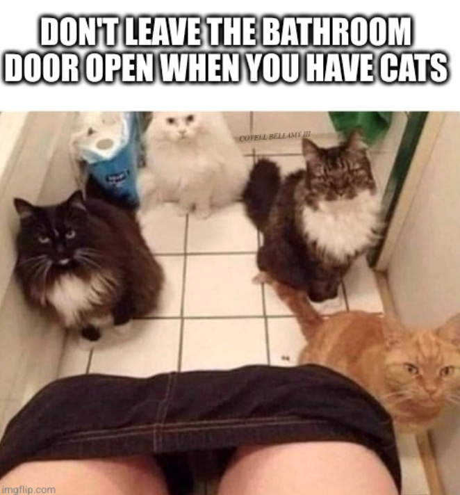 DON'T LEAVE THE BATHROOM DOOR OPEN WHEN YOU HAVE CATS imgflip.com COVELL BELLAMY