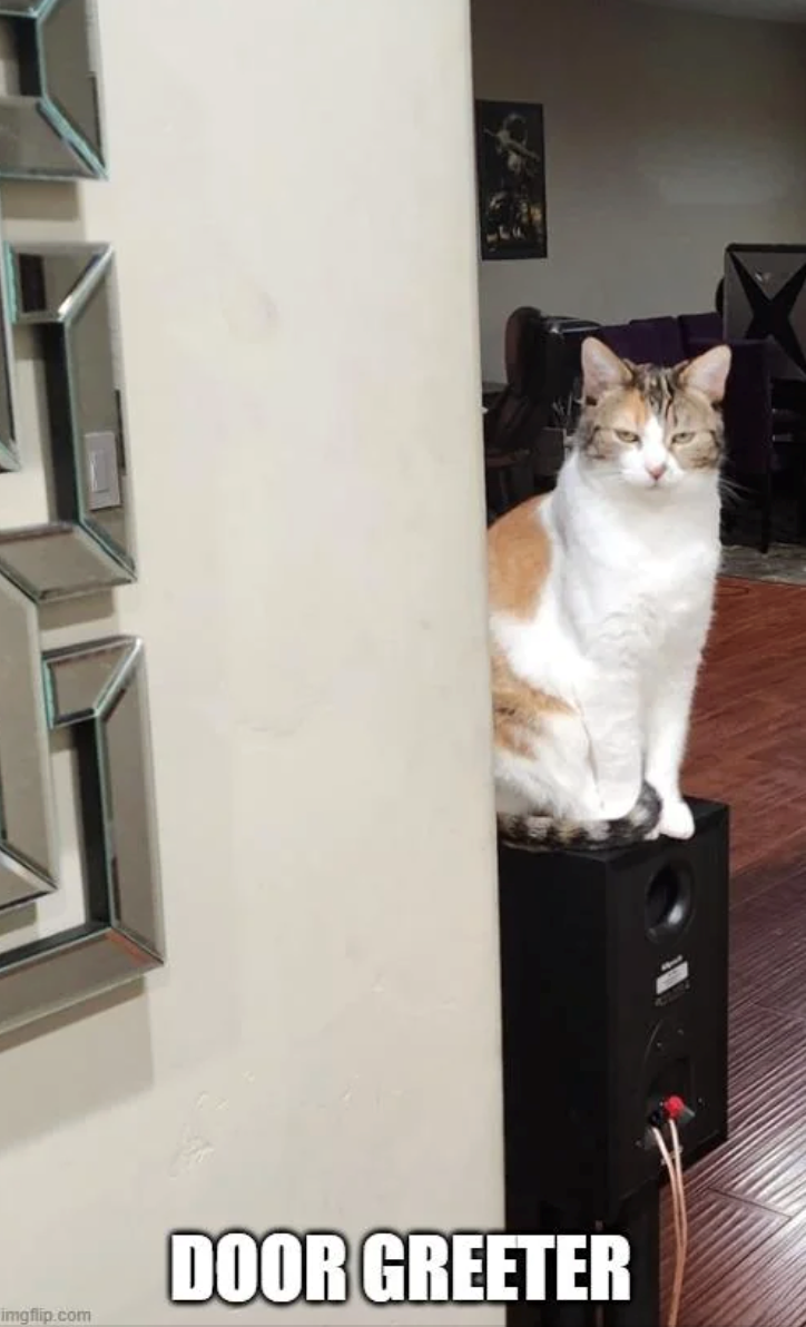 DOOR GREETER imgflip.com