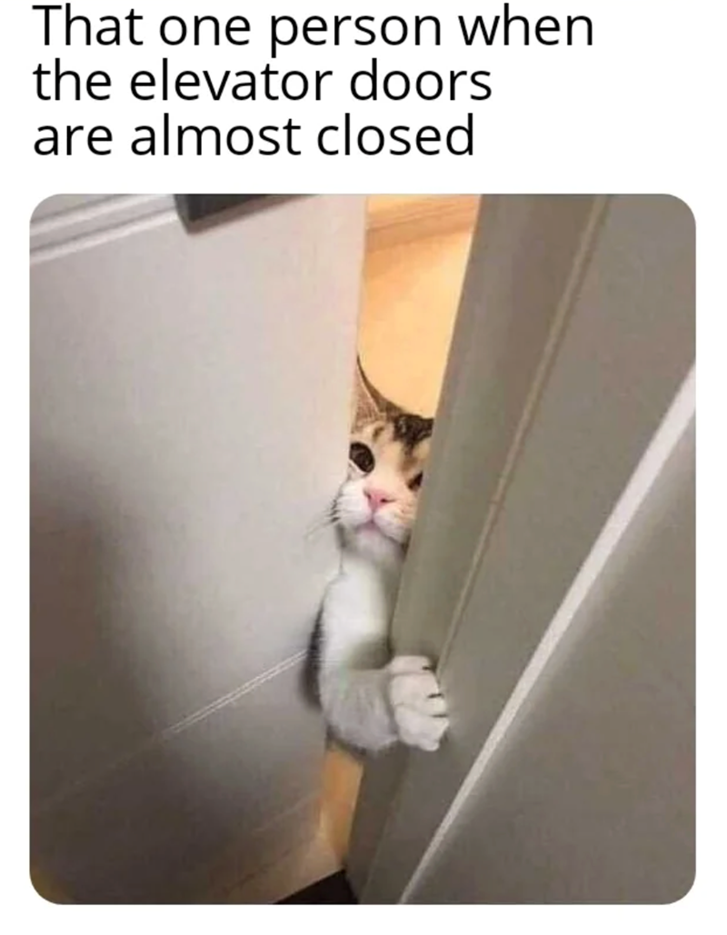 That one person when the elevator doors are almost closed