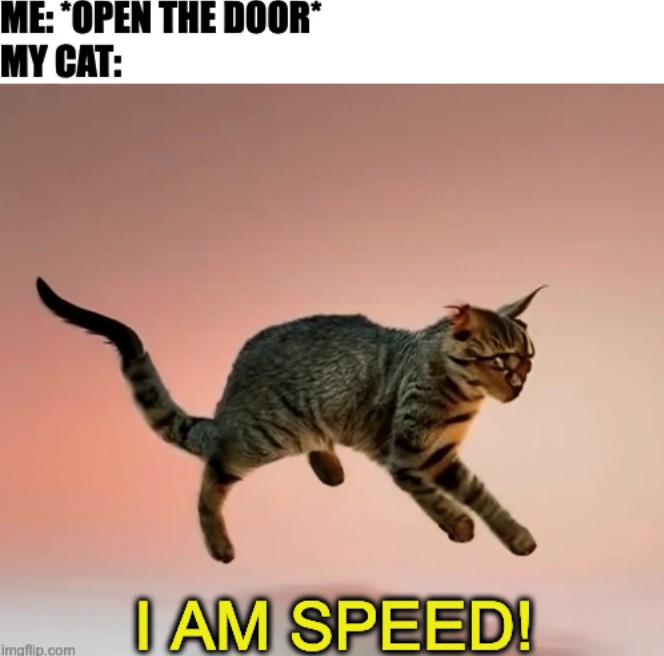 ME: *OPEN THE DOOR* MY CAT: I AM SPEED! imgflip.com