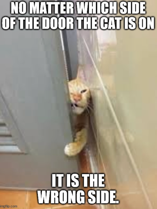 NO MATTER WHICH SIDE OF THE DOOR THE CAT IS ON imgflip.com IT IS THE WRONG SIDE.