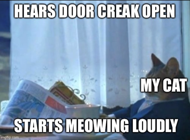 HEARS DOOR CREAK OPEN MY CAT STARTS MEOWING LOUDLY imgflip.com