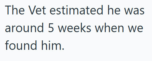 The Vet estimated he was around 5 weeks when we found him.