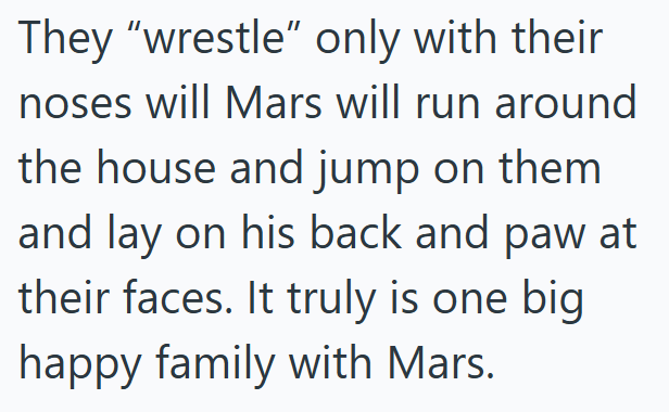 They "wrestle" only with their noses will Mars will run around the house and jump on them and lay on his back and paw at their faces. It truly is one big happy family with Mars.