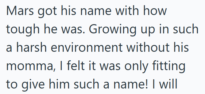 Mars got his name with how tough he was. Growing up in such a harsh environment without his momma, I felt it was only fitting to give him such a name! I will