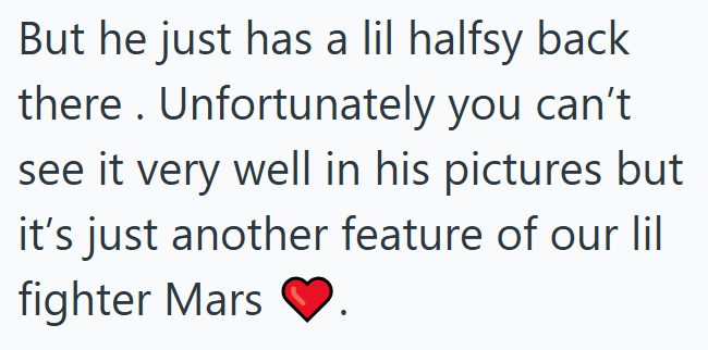But he just has a lil halfsy back there. Unfortunately you can't see it very well in his pictures but it's just another feature of our lil fighter Mars