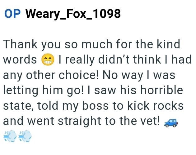 OP Weary_Fox_1098 Thank you so much for the kind words I really didn't think I had any other choice! No way I was letting him go! I saw his horrible state, told my boss to kick rocks and went straight to the vet!