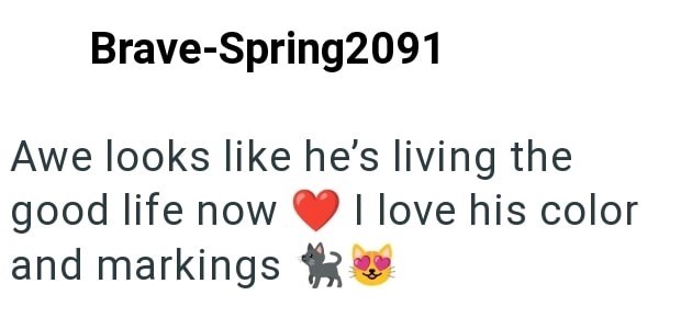 Brave-Spring2091 Awe looks like he's living the good life now and markings I love his color