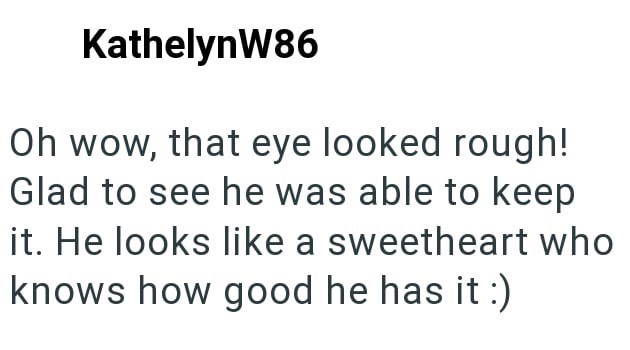 KathelynW86 Oh wow, that eye looked rough! Glad to see he was able to keep it. He looks like a sweetheart who knows how good he has it :)