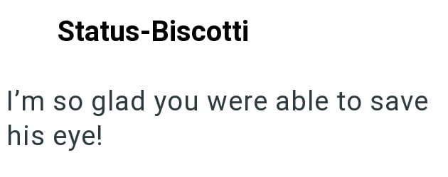 Status-Biscotti I'm so glad you were able to save his eye!