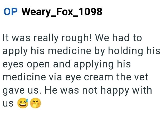 OP Weary_Fox_1098 It was really rough! We had to apply his medicine by holding his eyes open and applying his medicine via eye cream the vet gave us. He was not happy with us