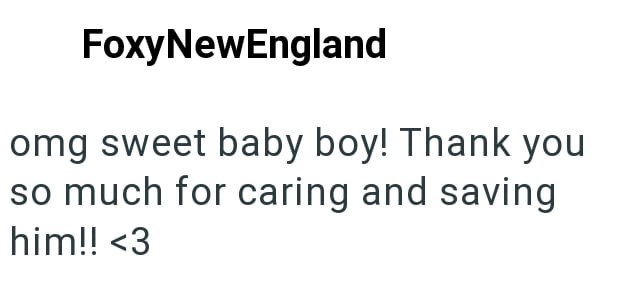 FoxyNewEngland omg sweet baby boy! Thank you so much for caring and saving him!! <3