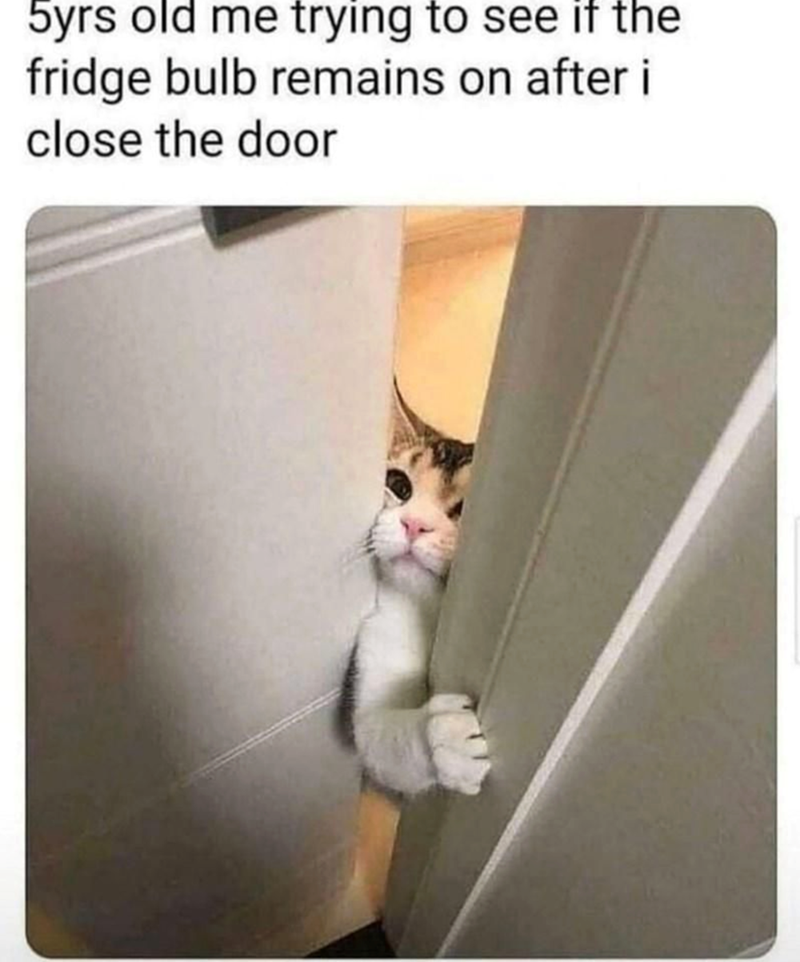 5yrs old me trying to see if the fridge bulb remains on after i close the door