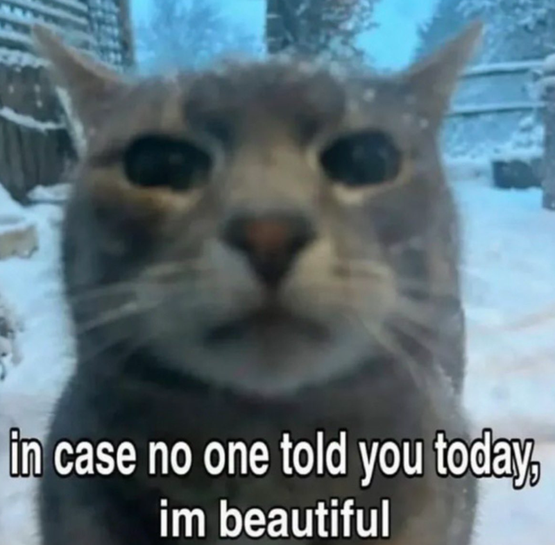 in case no one told you today, im beautiful