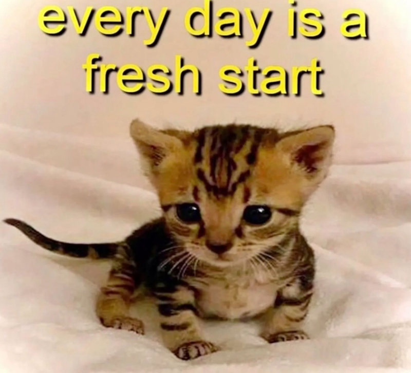 every day is a fresh start