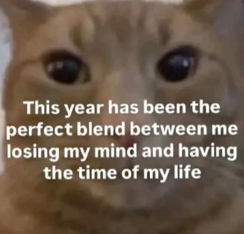 This year has been the perfect blend between me losing my mind and having the time of my life