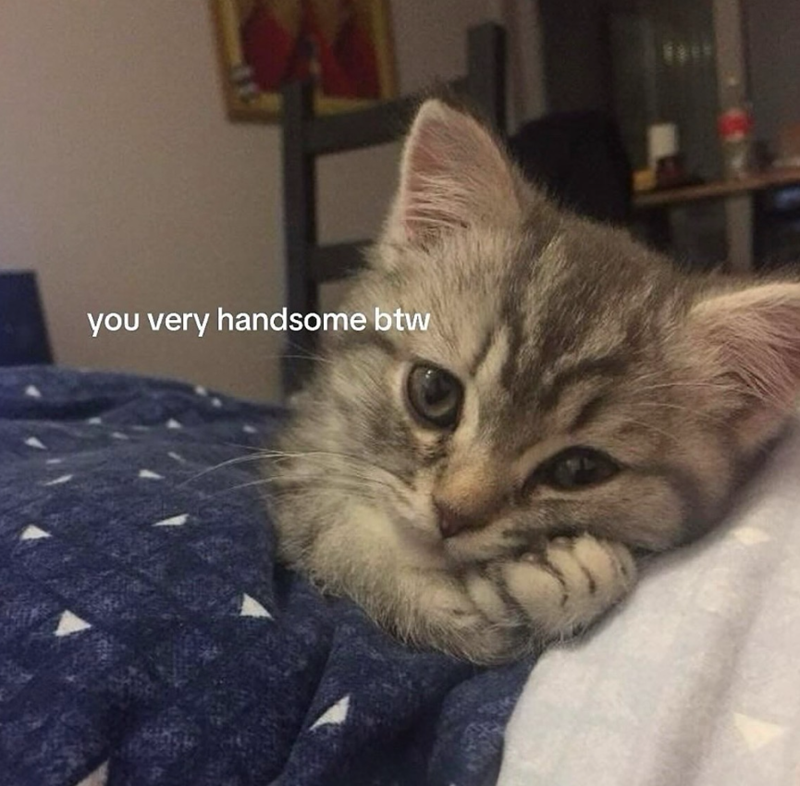 you very handsome btw