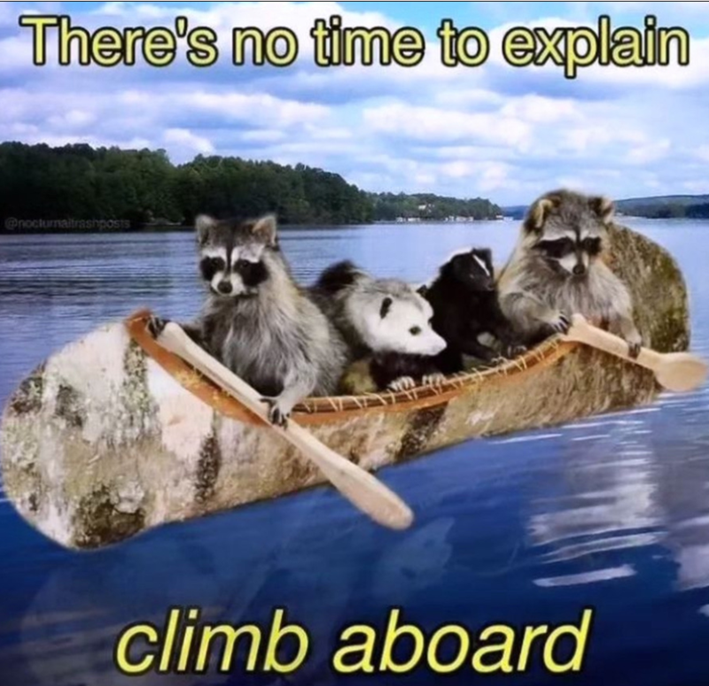 There's no time to explain @nocturnaitrashposts climb aboard