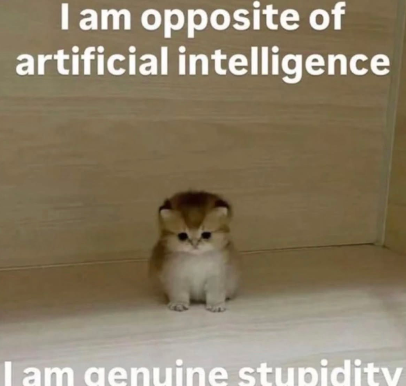 I am opposite of artificial intelligence I am genuine stupidity
