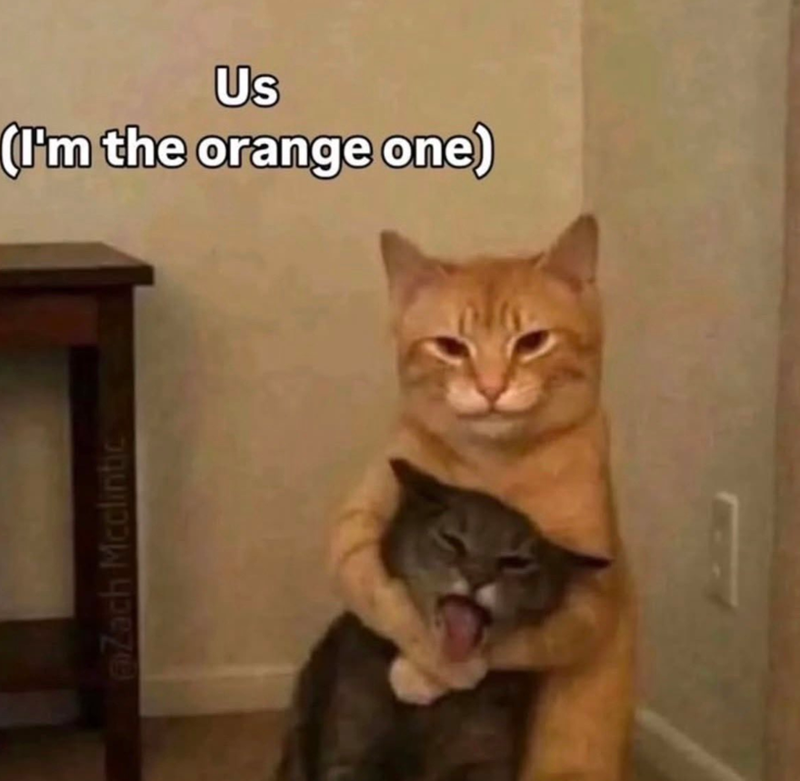 @Zach Mcclintic Us (I'm the orange one)