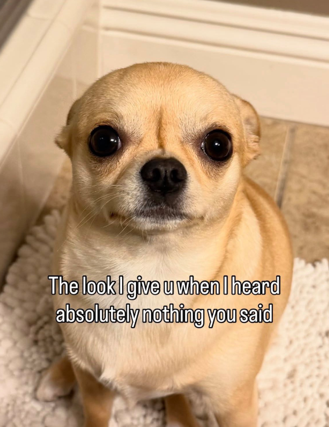 The look I give u when I heard absolutely nothing you said