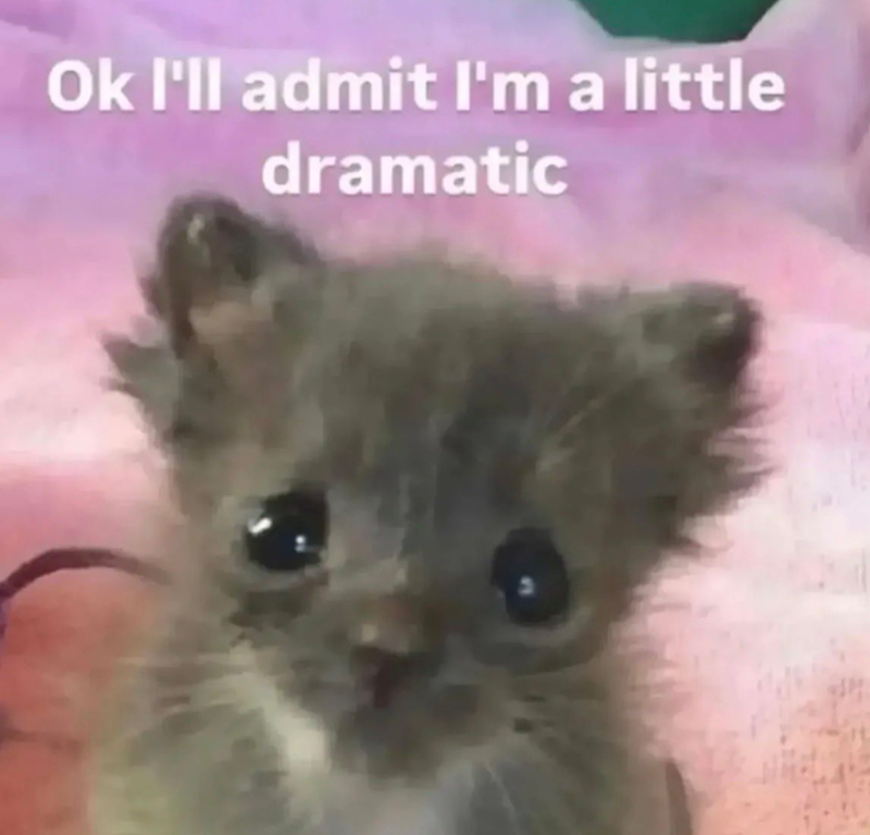 Ok I'll admit I'm a little dramatic