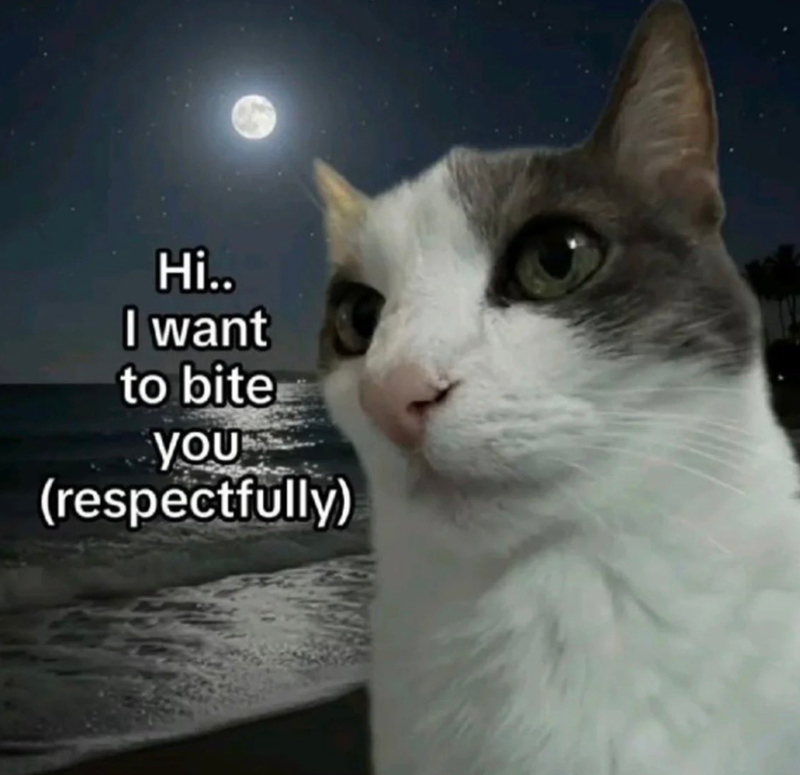 Hi.. I want to bite You (respectfully)