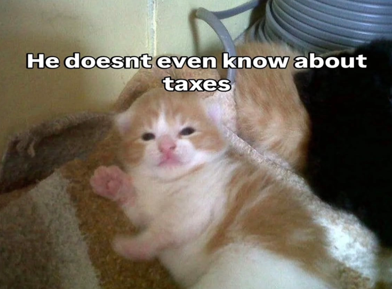 He doesnt even know about taxes