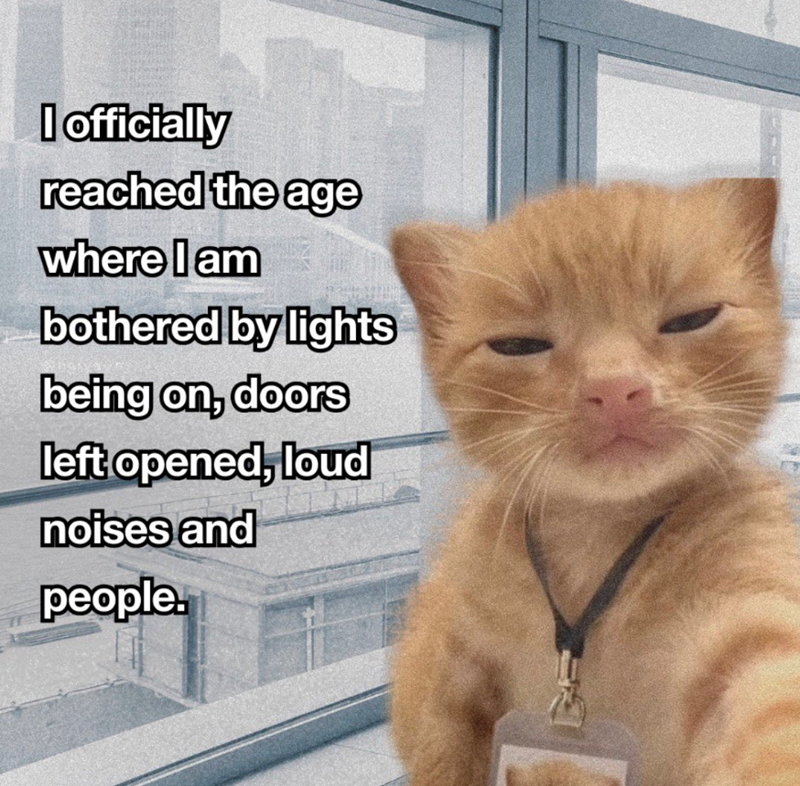 I officially reached the age where I am bothered by lights being on, doors left opened, loud noises and people.