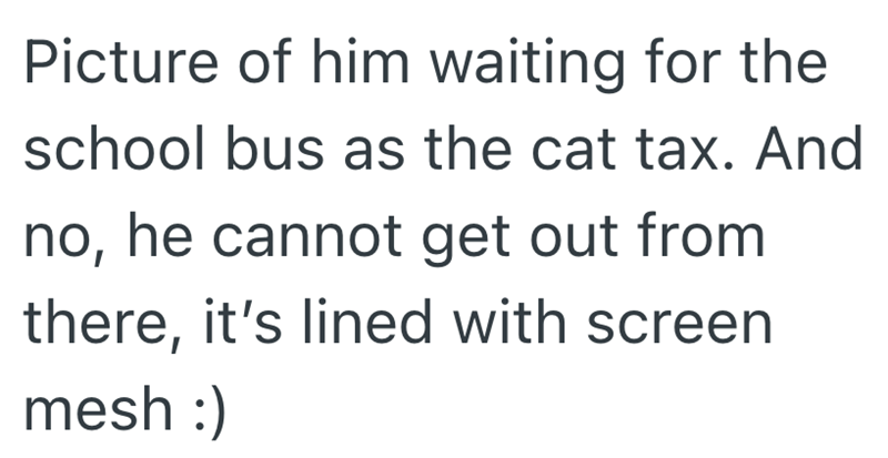 Picture of him waiting for the school bus as the cat tax. And no, he cannot get out from there, it's lined with screen mesh :)
