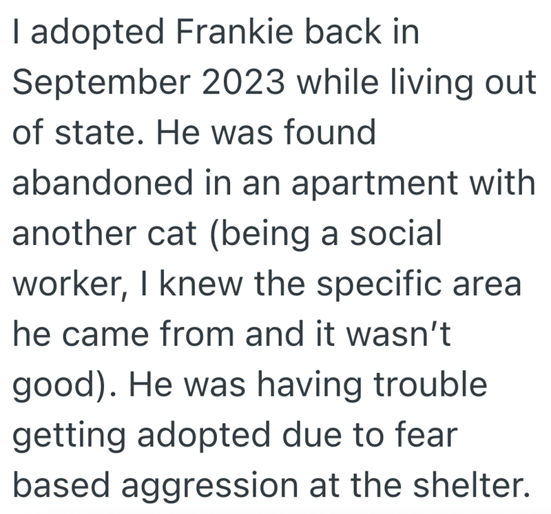 I adopted Frankie back in September 2023 while living out of state. He was found abandoned in an apartment with another cat (being a social worker, I knew the specific area he came from and it wasn't good). He was having trouble getting adopted due to fear based aggression at the shelter.