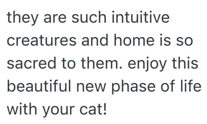 they are such intuitive creatures and home is so sacred to them. enjoy this beautiful new phase of life. with your cat!