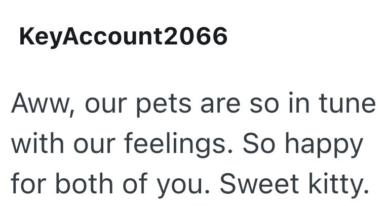 KeyAccount2066 Aww, our pets are so in tune with our feelings. So happy for both of you. Sweet kitty.