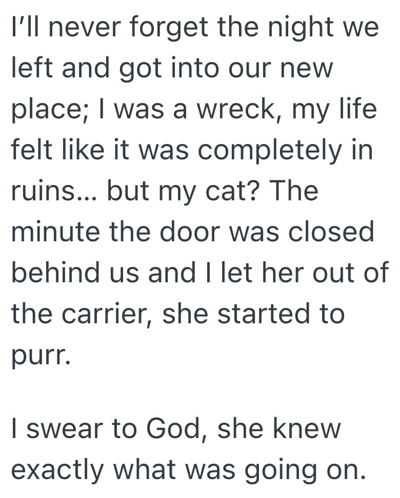 I'll never forget the night we left and got into our new place; I was a wreck, my life felt like it was completely in ruins... but my cat? The minute the door was closed behind us and I let her out of the carrier, she started to purr. I swear to God, she knew exactly what was going on.
