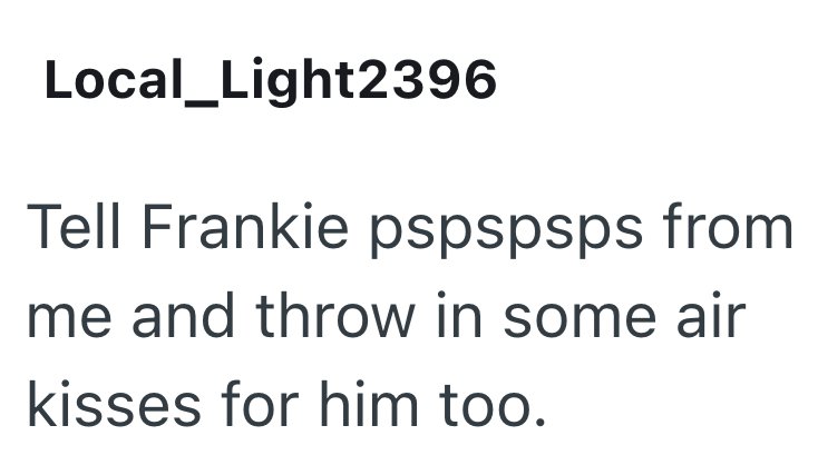 Local_Light2396 Tell Frankie pspspsps from me and throw in some air kisses for him too.